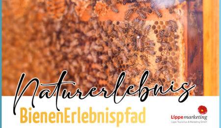 Naturerlebnis Bienenerlebnispfad Schwelentrup