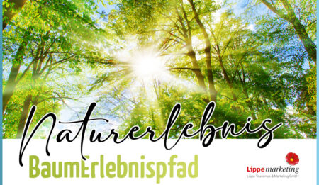 Naturerlebnis Baumerlebnispfad