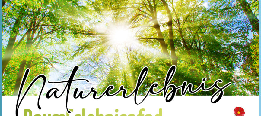 Naturerlebnis Baumerlebnispfad