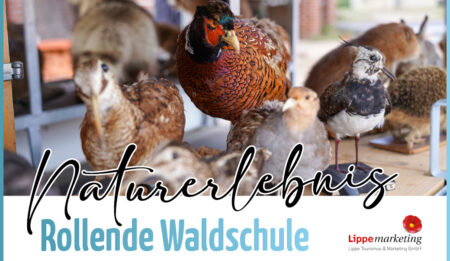 Naturerlebnis Rollende Waldschule