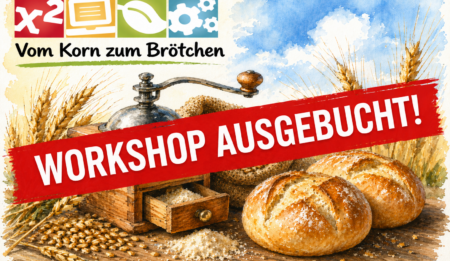 Vom Korn zum Brötchen – Das Korn unter der Lupe