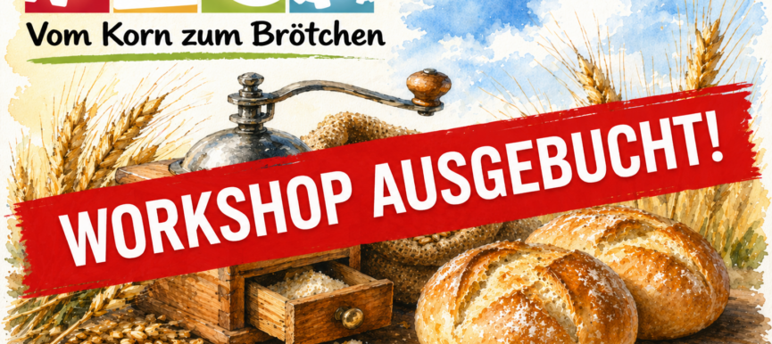 Vom Korn zum Brötchen – Das Korn unter der Lupe