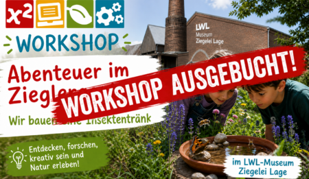 Abenteuer im Zieglergarten – Wir bauen eine Insektentränke!